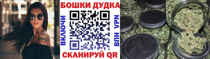 Купить закладки  Отрадная  Шишки марихуана план 